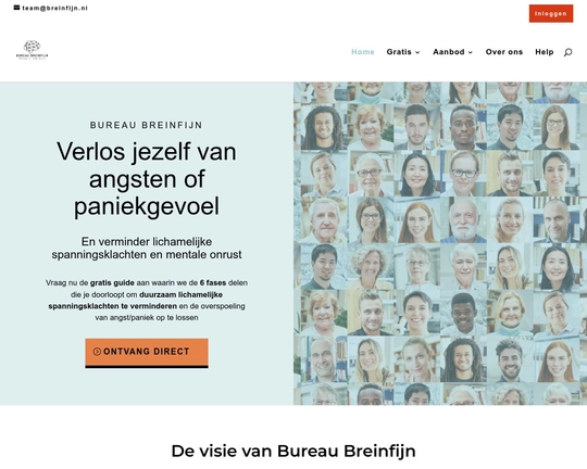 Rosalie van Gils - Breinfijn Logo